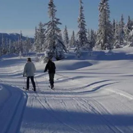 Modern Lakehouse With Jacuzzi & Sauna, Near Golf And Alpine *