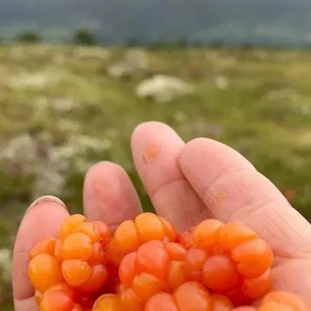 Naer Vannet, Jacuzzi Og Sauna Feriehus