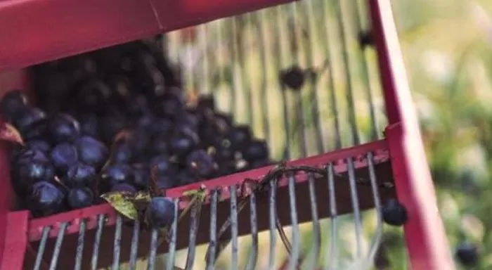 Modern Lakehouse With Jacuzzi & Sauna, Near Golf And Alpine 펜션 *