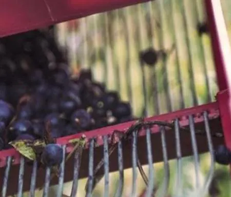 Modern Lakehouse With Jacuzzi & Sauna, Near Golf And Alpine Сasa de vacaciones *